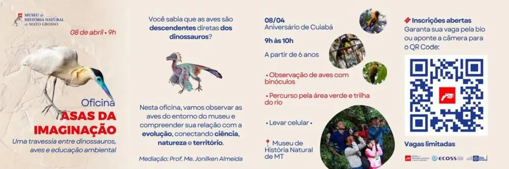 Museu de História Natural apresenta exposição “Casulos” com imersão do barro à natureza