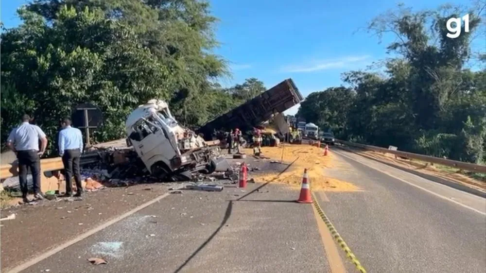 Acidente entre carros e carretas carregadas de porco e milho deixa seis pessoas mortas na BR-163, em MS