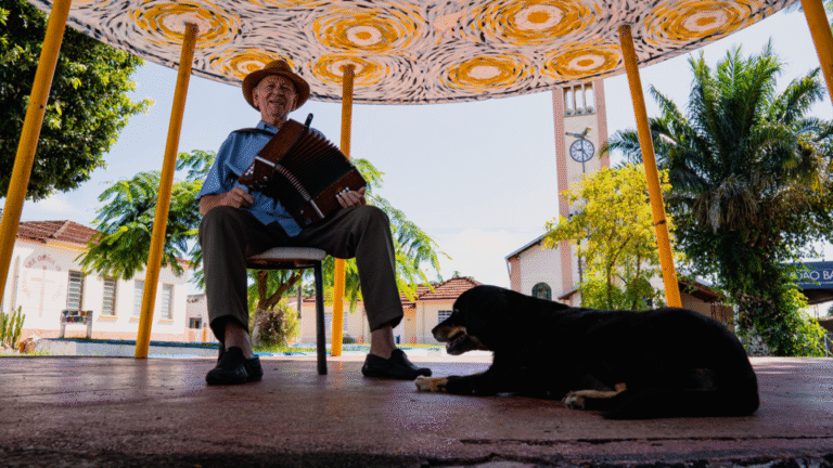 Documentário O Menino e a Sanfona