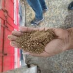 farelo-de-soja-adulterado-Porto-de-Paranagua