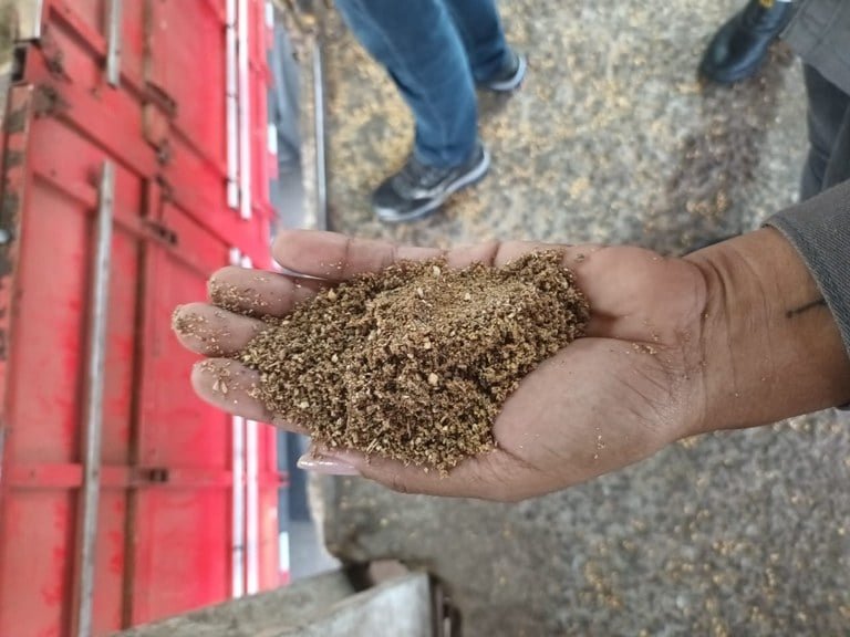 farelo-de-soja-adulterado-Porto-de-Paranagua