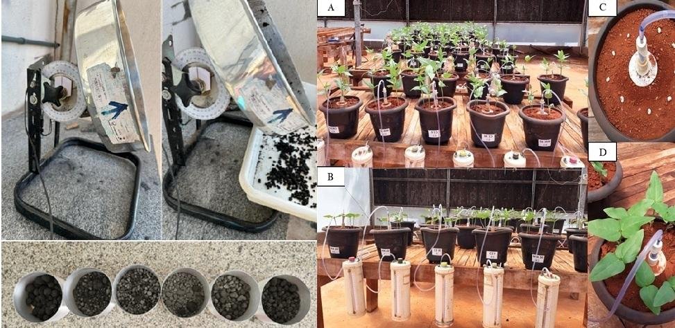 Fertilizantes organomineral (1)