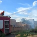 WhatsApp Image 2025-11-04 at 14.52.54