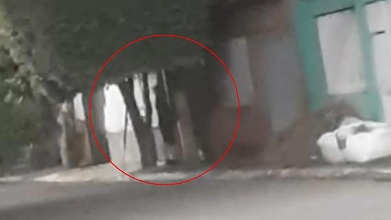 4bfcaf82f5273e1842787d1e0f3744dd