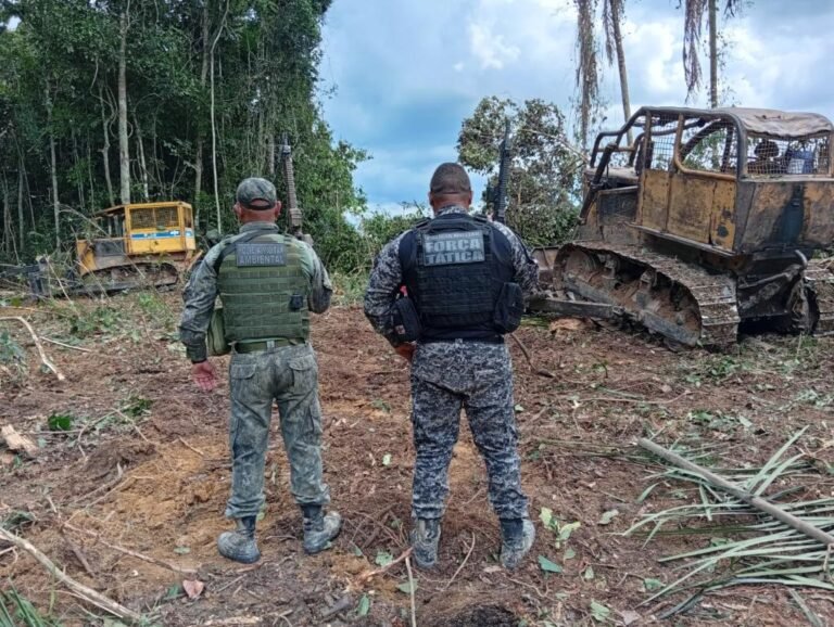 WhatsApp Image 2025-12-17 at 11.23.35