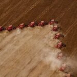 image_processing20230719-13080-12dn0x8