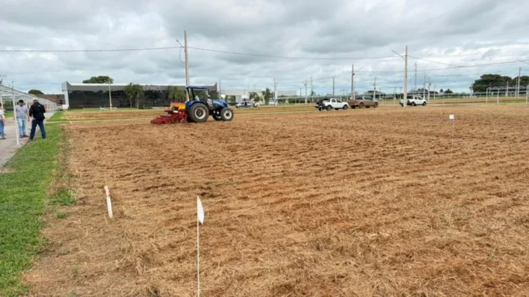 imagem_2025-12-16_125552208