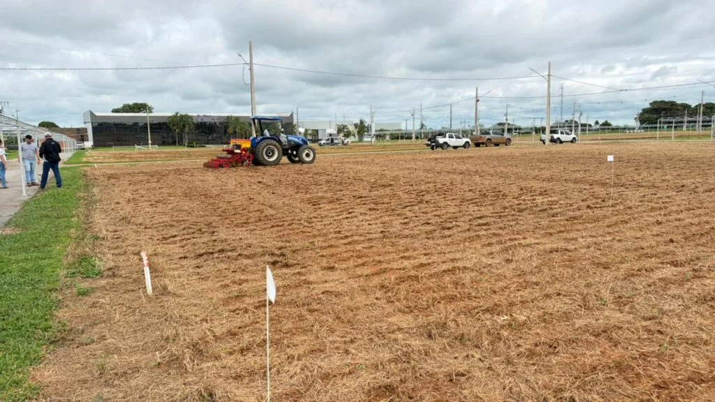 imagem_2025-12-16_125552208