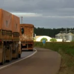 imagem_2025-12-16_125950225