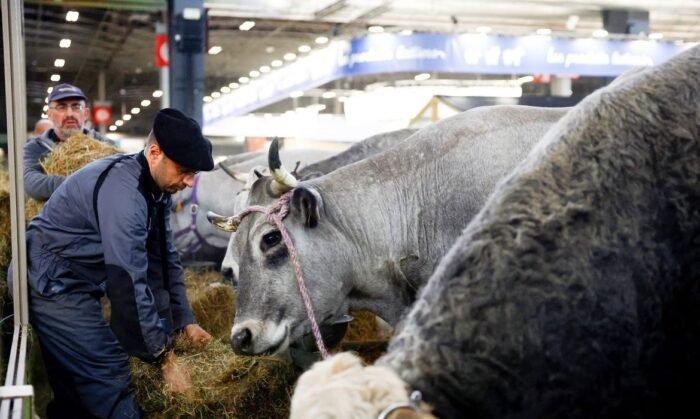 França registra 1º caso humano do vírus Shamonda que afeta animais
