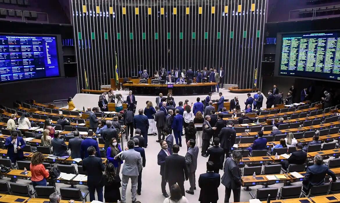 Representação de parlamentares negros segue baixa, diz pesquisadora